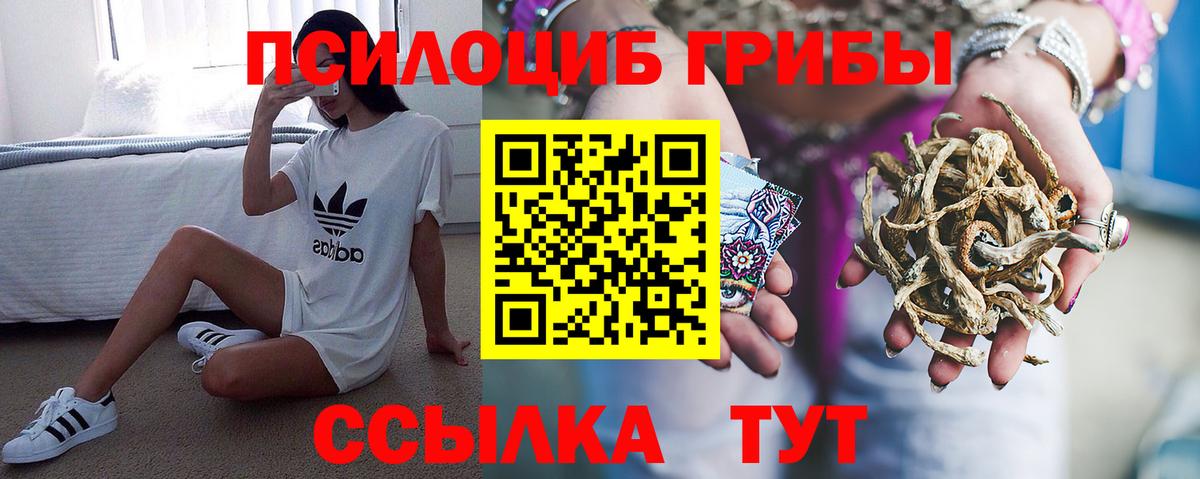 Гусь-Хрустальный  купить наркоту  Вход с VPN  Псилоцибиновые грибы мицелий 